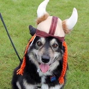 Fundraising Page: Stephanie Barnhill